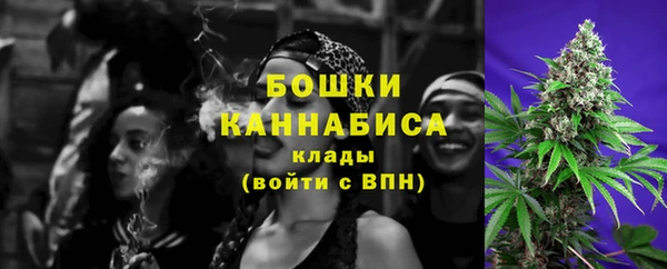 твердый Осташков