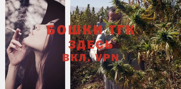 экстази Няндома