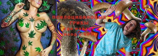 экстази Няндома