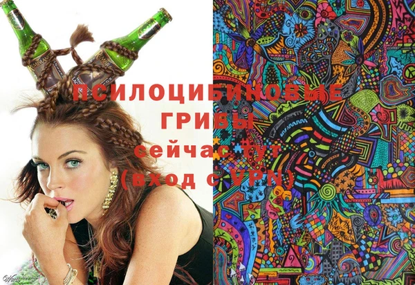 амф Нязепетровск