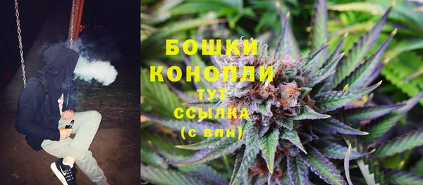 твердый Осташков