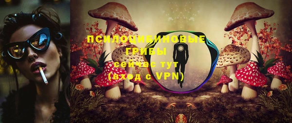 ALPHA-PVP Осинники