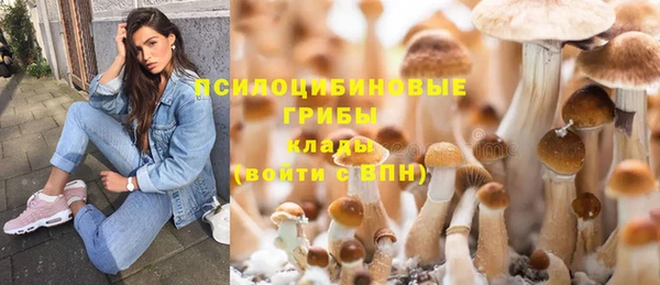 экстази Нягань