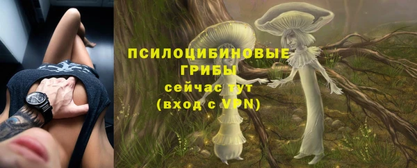 амф Нязепетровск