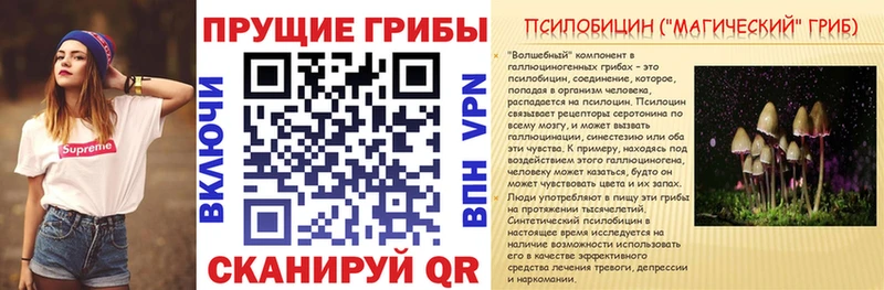 KRAKEN ONION  Усть-Лабинск  Галлюциногенные грибы прущие грибы  продажа наркотиков 
