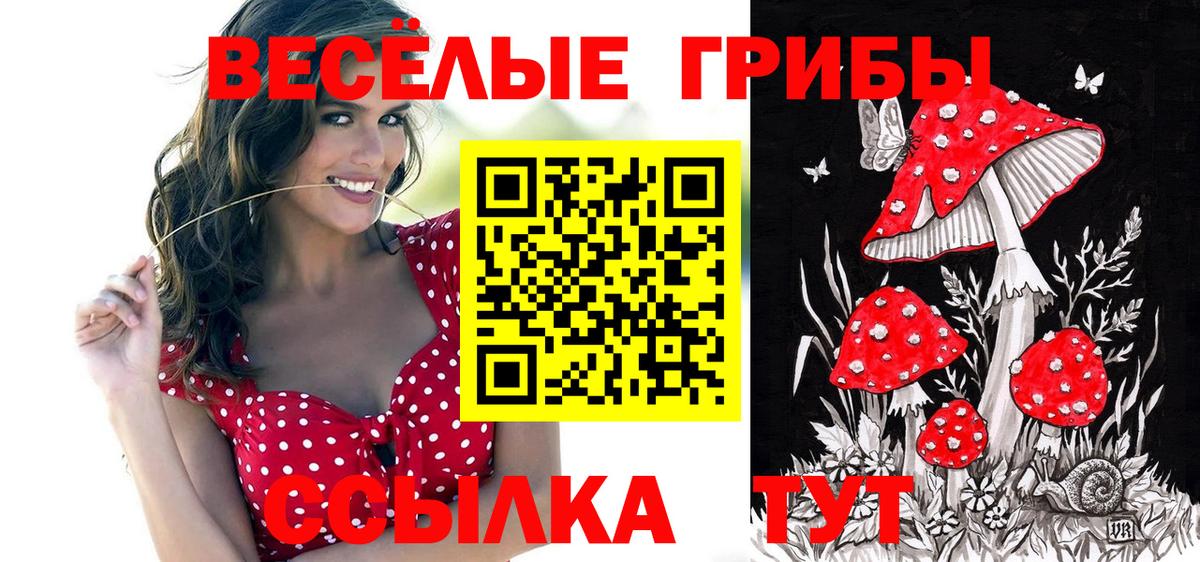 Усть-Лабинск  Галлюциногенные грибы прущие грибы  Вход с VPN 