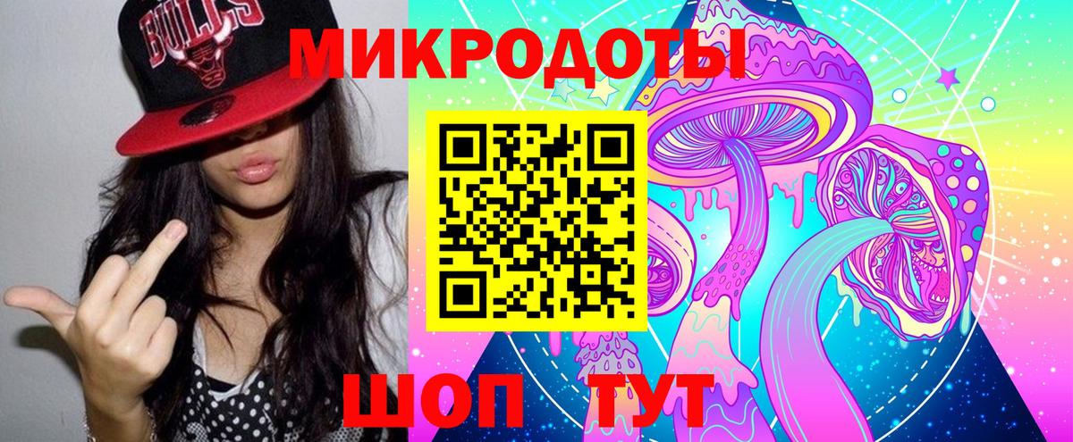 Галлюциногенные грибы Psilocybine cubensis Усть-Лабинск
