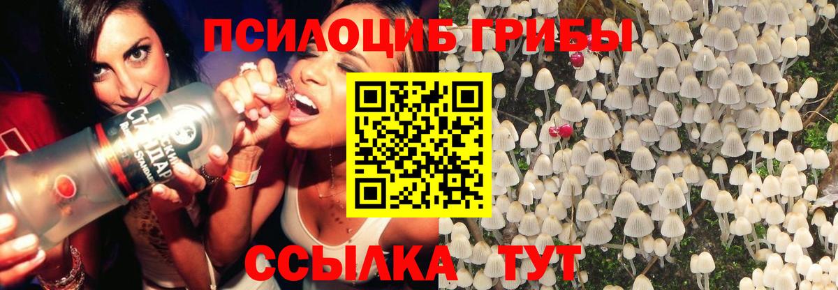 Псилоцибиновые грибы GOLDEN TEACHER Усть-Лабинск